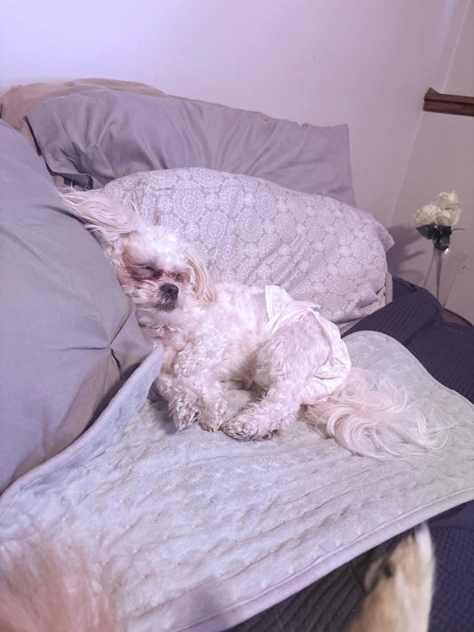 Everything is not what it seems